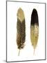 Gold Feather Pair-Julia Bosco-Mounted Art Print