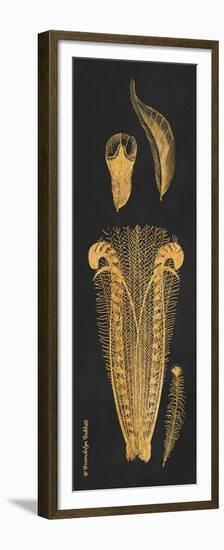 Gold Feathers I-Gwendolyn Babbitt-Framed Premium Giclee Print