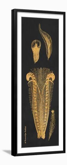 Gold Feathers I-Gwendolyn Babbitt-Framed Premium Giclee Print