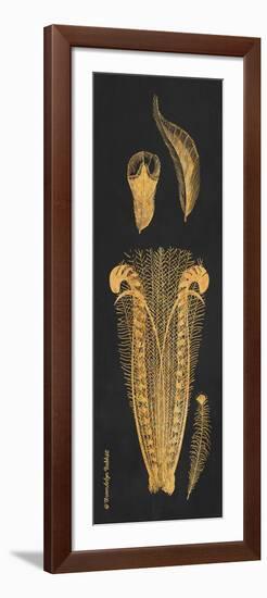 Gold Feathers I-Gwendolyn Babbitt-Framed Art Print