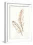 Gold Feathers I-Chris Paschke-Framed Art Print