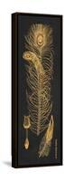 Gold Feathers II-Gwendolyn Babbitt-Framed Stretched Canvas