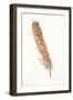 Gold Feathers II-Chris Paschke-Framed Art Print