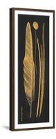 Gold Feathers III-Gwendolyn Babbitt-Framed Premium Giclee Print