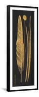 Gold Feathers III-Gwendolyn Babbitt-Framed Premium Giclee Print