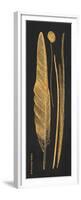 Gold Feathers III-Gwendolyn Babbitt-Framed Premium Giclee Print