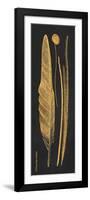 Gold Feathers III-Gwendolyn Babbitt-Framed Art Print