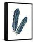 Gold Feathers IV Indigo Crop-Chris Paschke-Framed Stretched Canvas