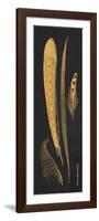 Gold Feathers IV-Gwendolyn Babbitt-Framed Premium Giclee Print