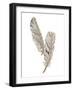 Gold Feathers VIII-Chris Paschke-Framed Art Print