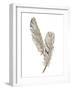 Gold Feathers VIII-Chris Paschke-Framed Art Print