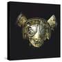 Gold Feline Mask with Platinum Eyes, Originating from La Tolita-null-Stretched Canvas