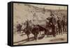 Gold Fever. Prospectors Going to the New Gold Field-John C.H. Grabill-Framed Stretched Canvas