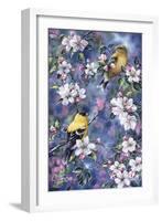 Gold Finch and Blossoms-Jeff Tift-Framed Giclee Print