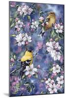 Gold Finch and Blossoms-Jeff Tift-Mounted Giclee Print