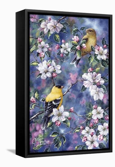 Gold Finch and Blossoms-Jeff Tift-Framed Stretched Canvas