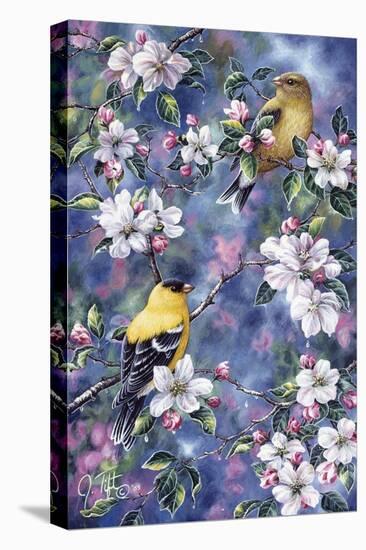 Gold Finch and Blossoms-Jeff Tift-Stretched Canvas