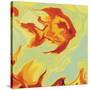 Gold Fish 1-Rabi Khan-Stretched Canvas