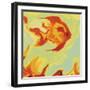 Gold Fish 1-Rabi Khan-Framed Art Print