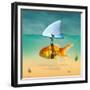 Gold Fish-Mark Ashkenazi-Framed Giclee Print