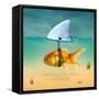 Gold Fish-Mark Ashkenazi-Framed Stretched Canvas