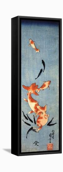 Gold Fish-Kuniyoshi Utagawa-Framed Stretched Canvas