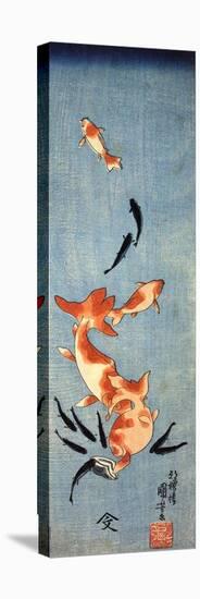 Gold Fish-Kuniyoshi Utagawa-Stretched Canvas