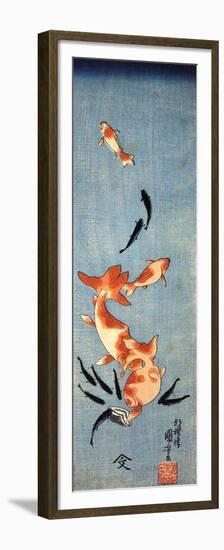 Gold Fish-Kuniyoshi Utagawa-Framed Premium Giclee Print