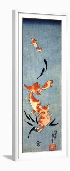 Gold Fish-Kuniyoshi Utagawa-Framed Premium Giclee Print
