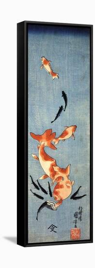 Gold Fish-Kuniyoshi Utagawa-Framed Stretched Canvas