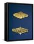 Gold Foil Diamond-Shaped Lozenges Decorated with Rosette Ornaments-null-Framed Stretched Canvas