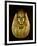 Gold Funerary Mask of Pharaoh Amenemope Fromtanis-null-Framed Premium Giclee Print