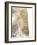 Gold Fusion I-Julia Contacessi-Framed Art Print