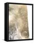 Gold Fusion I-Julia Contacessi-Framed Stretched Canvas