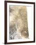 Gold Fusion I-Julia Contacessi-Framed Art Print