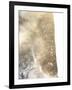 Gold Fusion I-Julia Contacessi-Framed Art Print