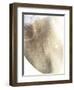 Gold Fusion III-Julia Contacessi-Framed Art Print