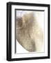 Gold Fusion III-Julia Contacessi-Framed Art Print