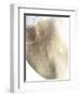 Gold Fusion III-Julia Contacessi-Framed Art Print