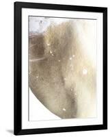 Gold Fusion III-Julia Contacessi-Framed Art Print