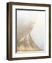 Gold Fusion VI-Julia Contacessi-Framed Art Print