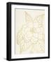 Gold Gardenia Line Drawing Crop-Moira Hershey-Framed Art Print