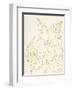 Gold Gardenia Line Drawing Crop-Moira Hershey-Framed Art Print