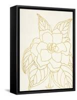 Gold Gardenia Line Drawing Crop-Moira Hershey-Framed Stretched Canvas