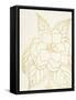 Gold Gardenia Line Drawing Crop-Moira Hershey-Framed Stretched Canvas