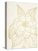 Gold Gardenia Line Drawing Crop-Moira Hershey-Stretched Canvas