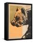 Gold Geometric Bear I-Alonzo Saunders-Framed Stretched Canvas