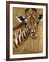 Gold Giraffe-Patricia Pinto-Framed Art Print