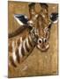 Gold Giraffe-Patricia Pinto-Mounted Art Print