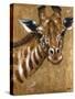 Gold Giraffe-Patricia Pinto-Stretched Canvas